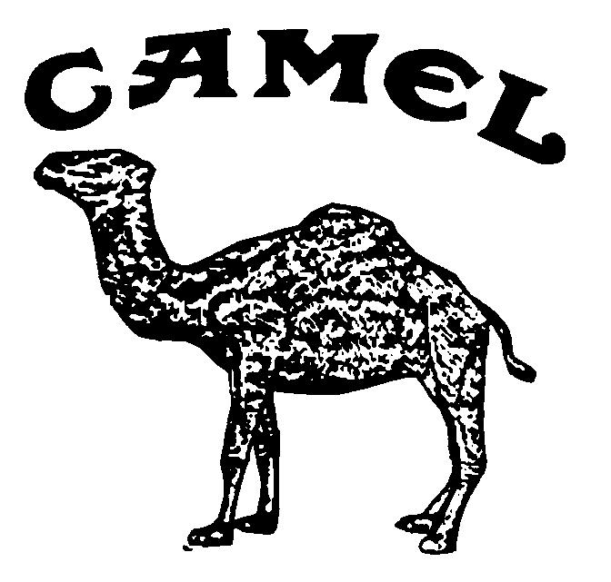 CAMEL