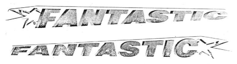 FANTASTIC