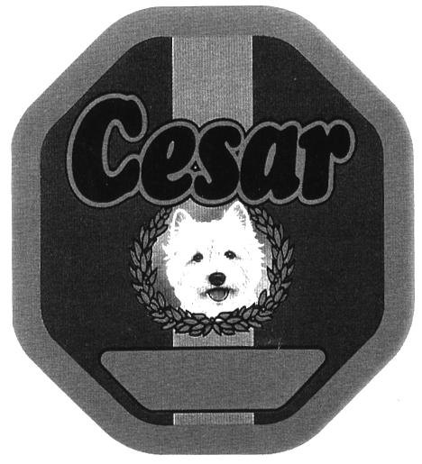 CESAR