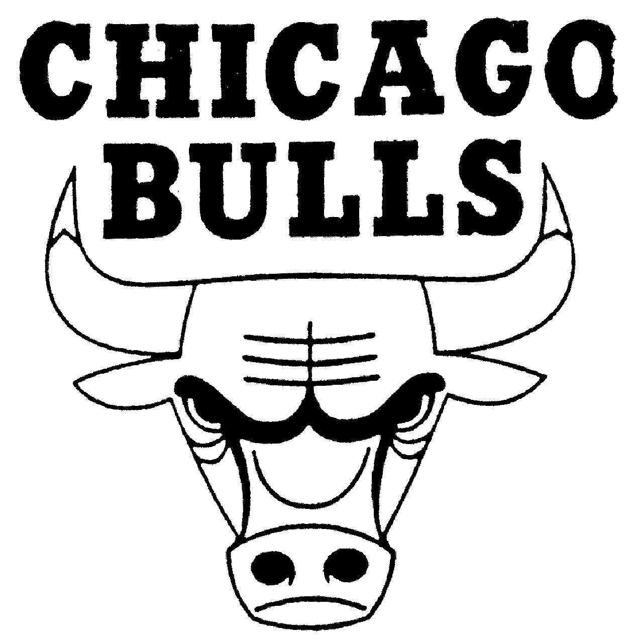 CHICAGO BULLS