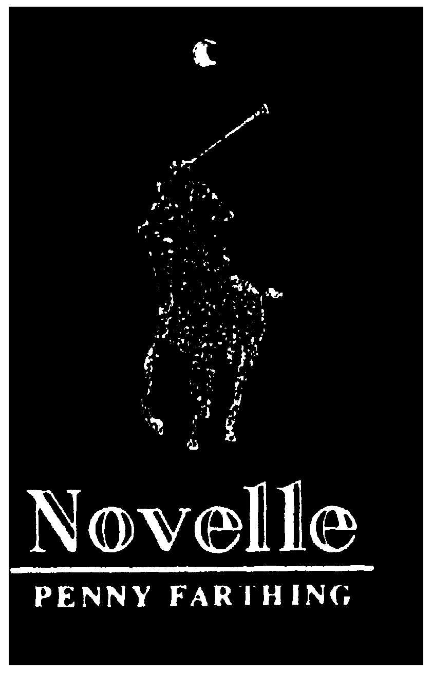Novelle