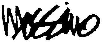 MOSSIMO