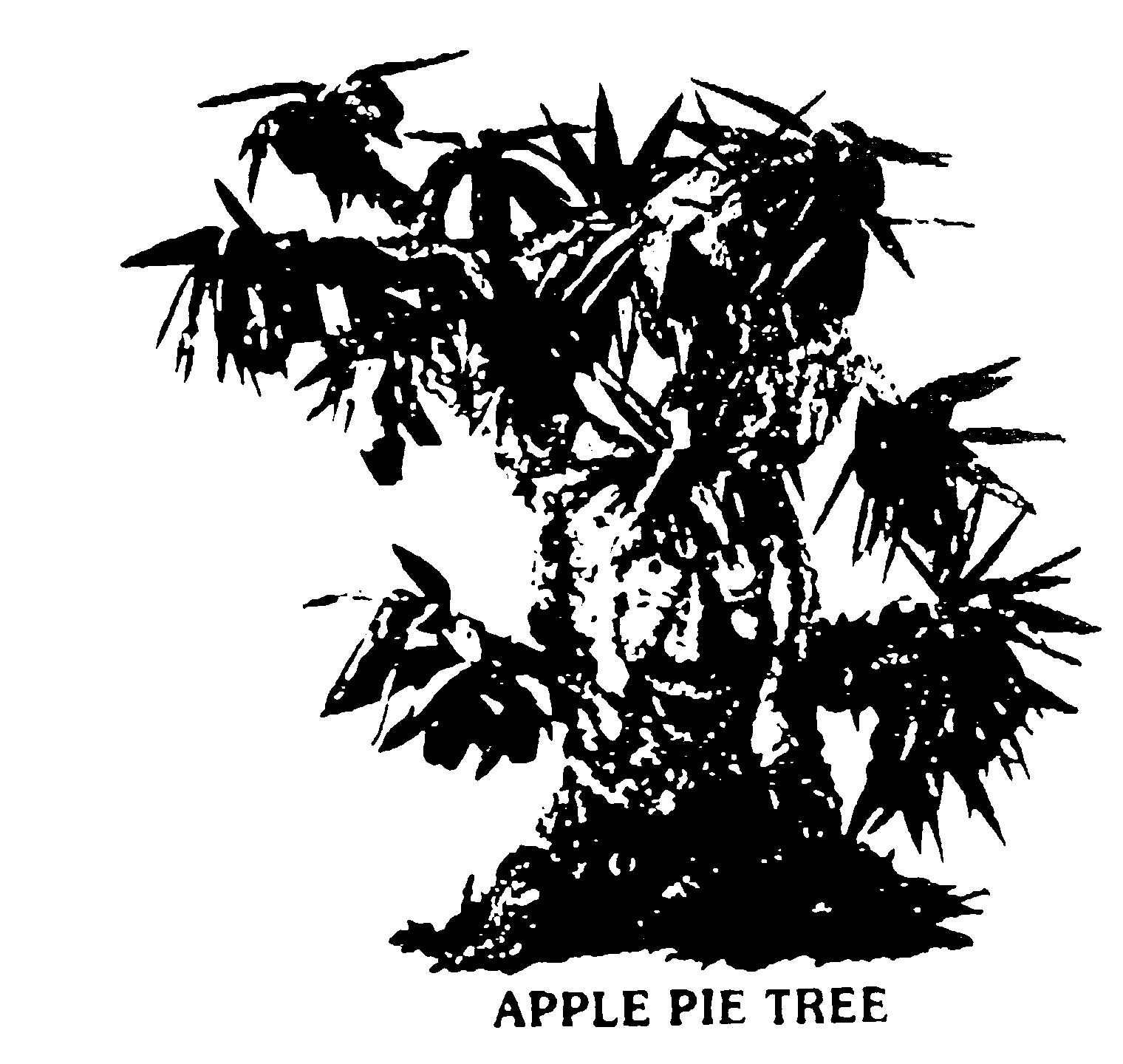 APPLE PIE TREE