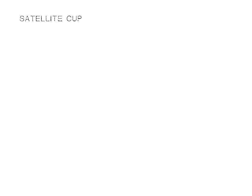 SATELLITE CUP