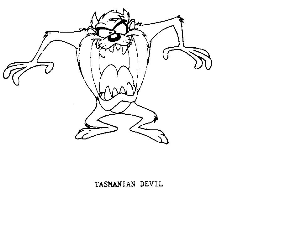TASMANIAN DEVIL