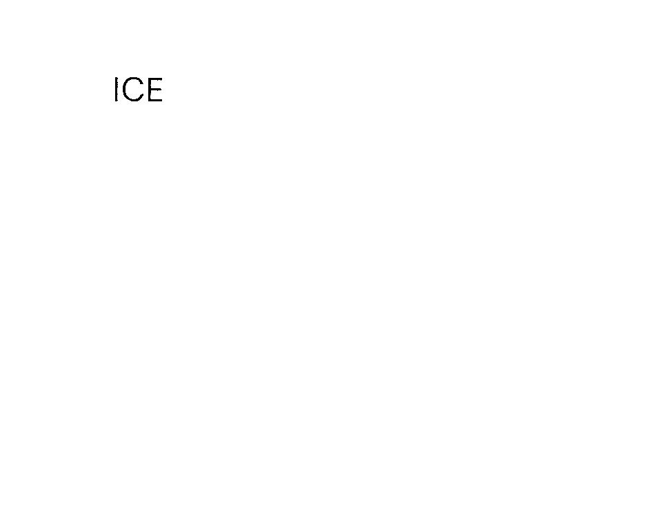 ICE