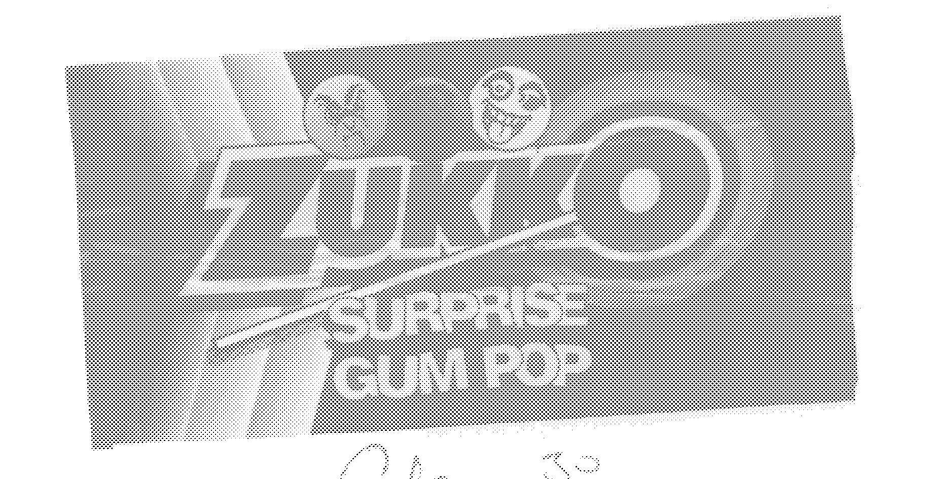 ZUKKO SURPRISE GUM POP