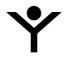 Y