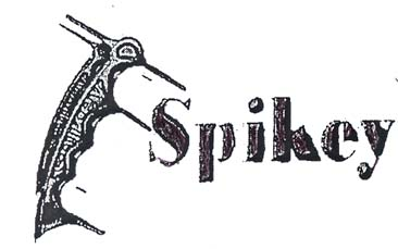 SPIKEY