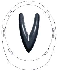 V
