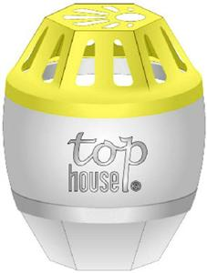 top house