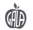 GALA