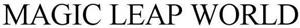 MAGIC LEAP WORLD