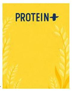 PROTEIN+