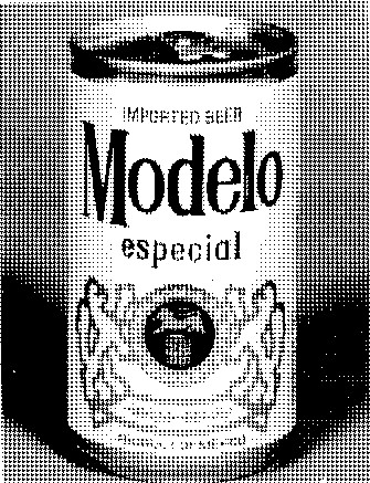 MODELO ESPECIAL