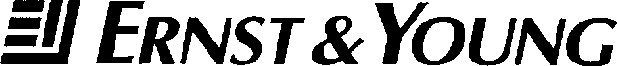 ERNST & YOUNG
