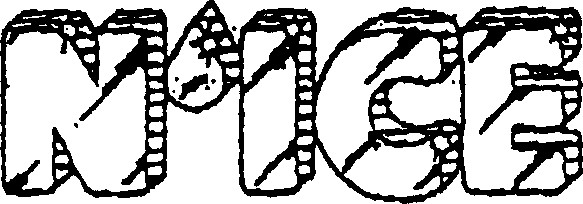 N'ICE