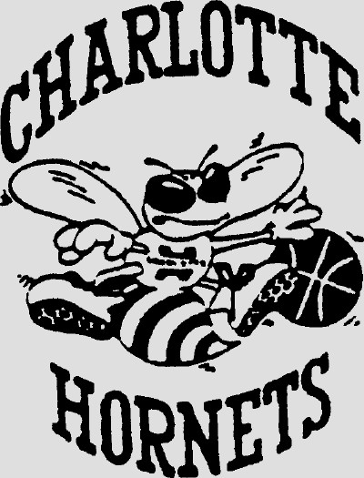 CHARLOTTE HORNETS