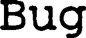 Bug