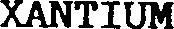 XANTIUM