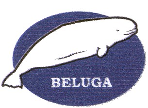 BELUGA