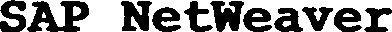 SAP NetWeaver