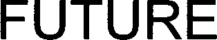 FUTURE