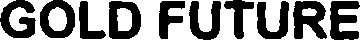GOLD FUTURE