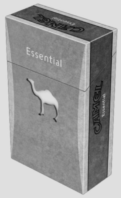 CAMEL Essential