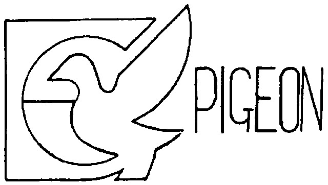 PIGEON