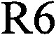 R6