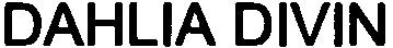 DAHLIA DIVIN