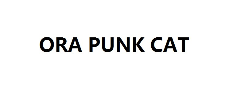 ORA PUNK CAT