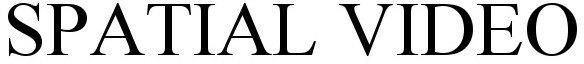 SPATIAL VIDEO