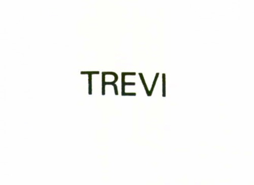 TREVI