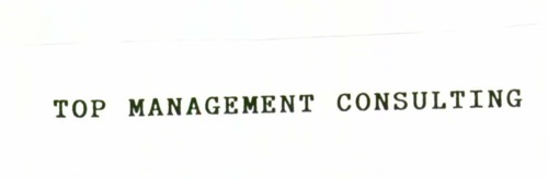 TOP MANAGEMENT CONSULTING