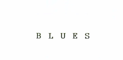 E' COSTITUITO DALLA DICITURA "BLUES"