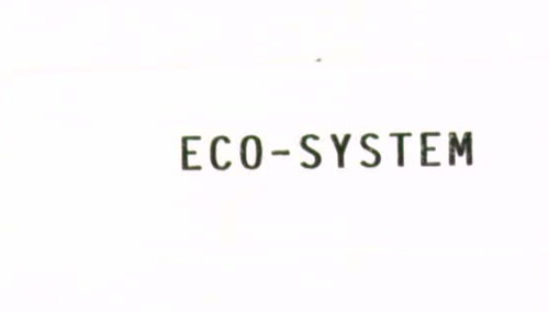 ECO-SYSTEM