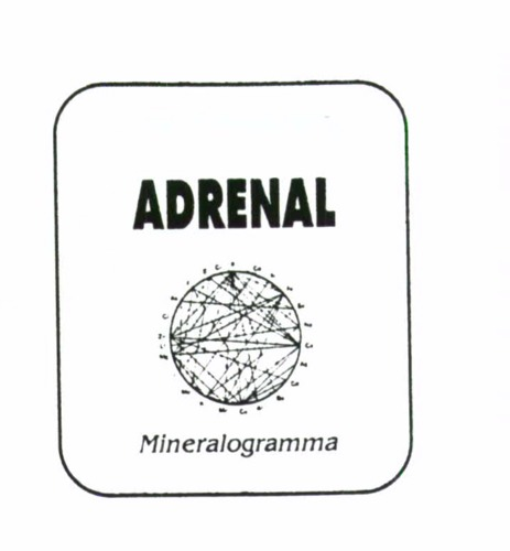 ADRENAL MINERALOGRAMMA   PIU FIG.