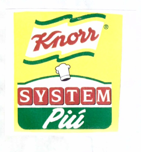 KNORR SYSTEM PIU'
