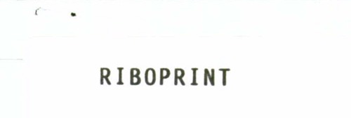 RIBOPRINT