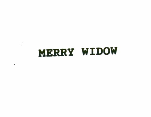 MERRY WIDOW