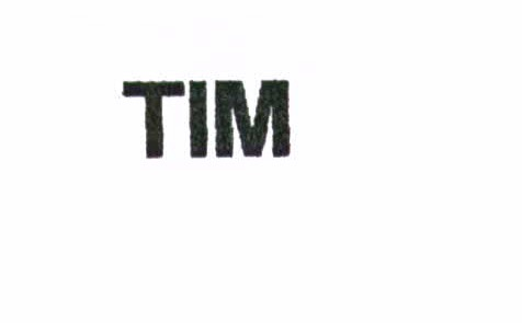 TIM