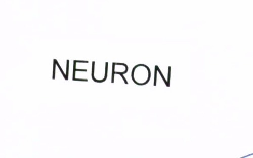 NEURON
