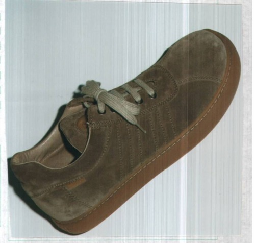 RAFFIGURAZIONE DI UNA SCARPA