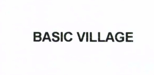 BASIC VILLAGE