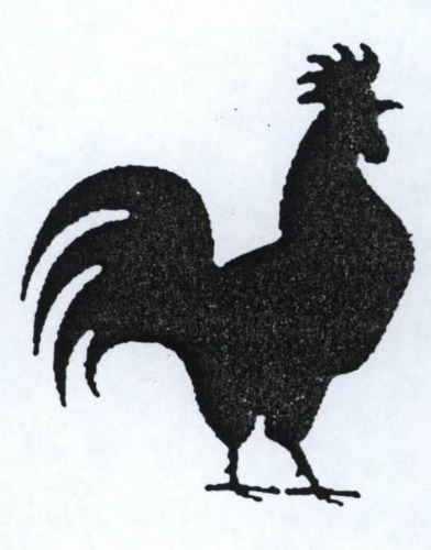 FIGURA DI GALLO.