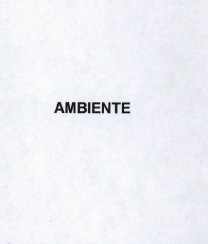 AMBIENTE