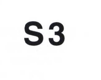S3