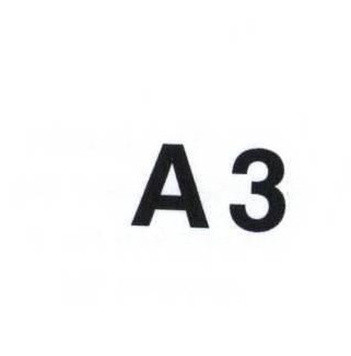 A3